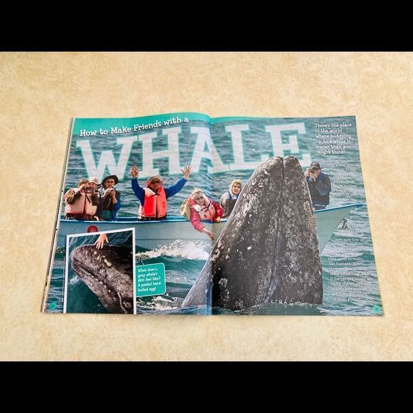 Ranger Rick Magazines Bundle - Picture 15 of 16